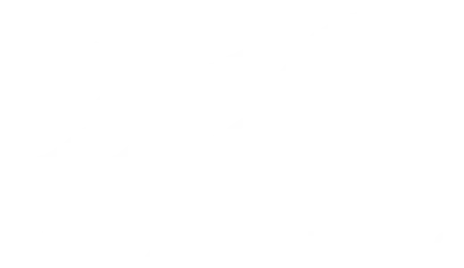LYNX Lining Logo